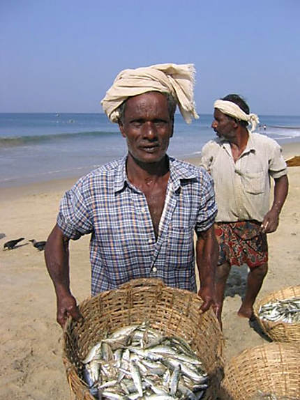 Pêcheurs from Kerala