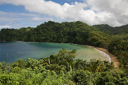 Englishman's Bay