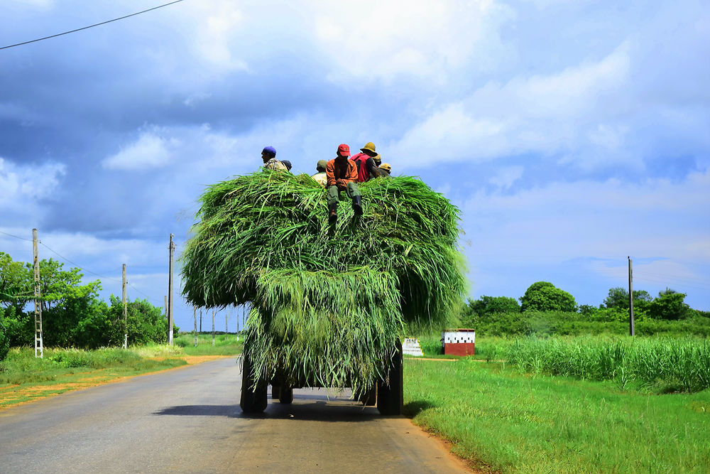 Sur les routes de Cuba