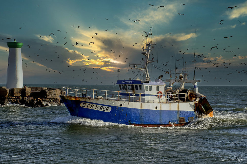 Retour de pêche au port du Grau d'Agde