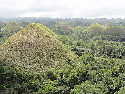 Chocolate Hills