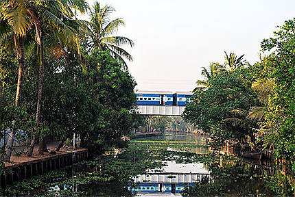 Le train dans les backwaters