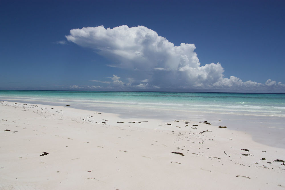 Plage de Muyuni