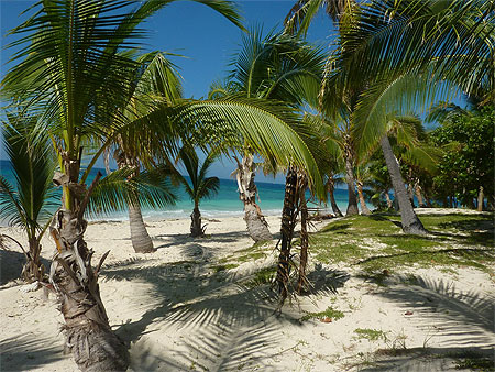 Bounty Island Bounty Island