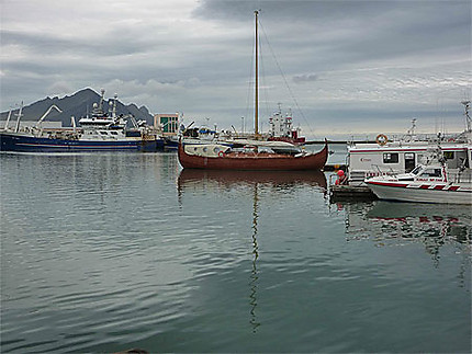 Port viking