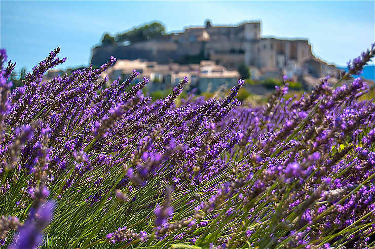 En Provence Sur Les Routes De La Lavande Idees Week End Provence Routard Com