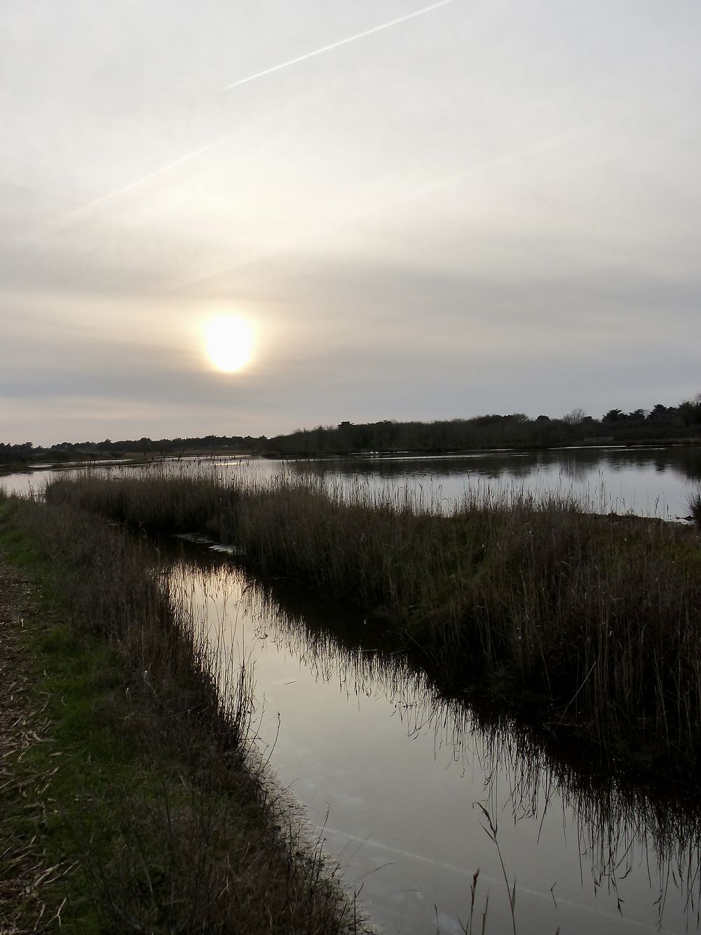 Les marais de Suscinio une visite incontournable 