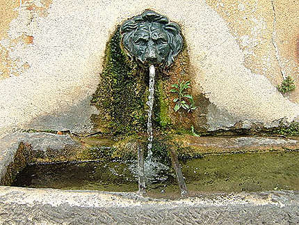 Fontaine à Goudargues
