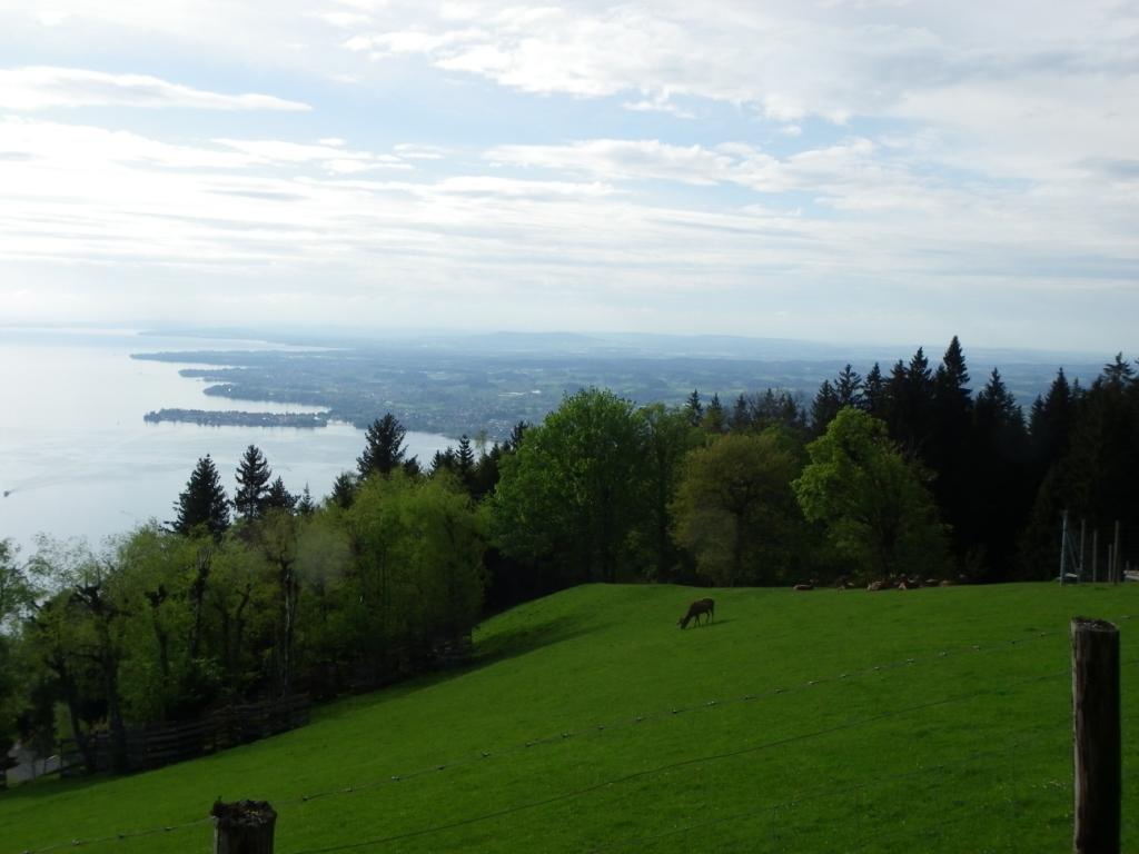 Lac de Constance Lac de Constance