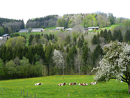 Alpes rurales