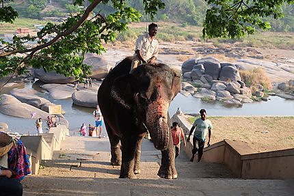 L'éléphant de Hampi et son mahout