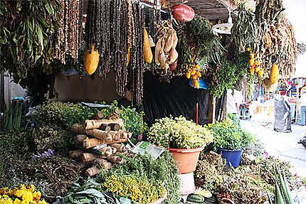 Marché de Chiclayo - Herbes diverses