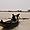 Traversée de zebus sur le fleuve Niger
