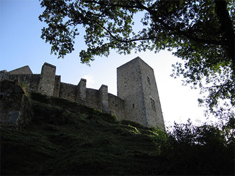 Château de la Madeleine