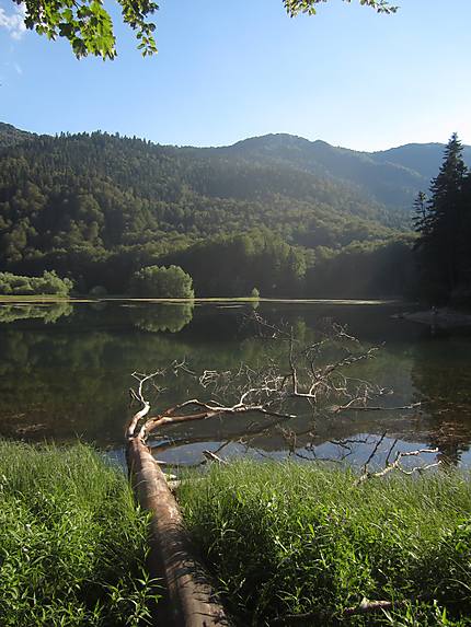 Lac Biogradska