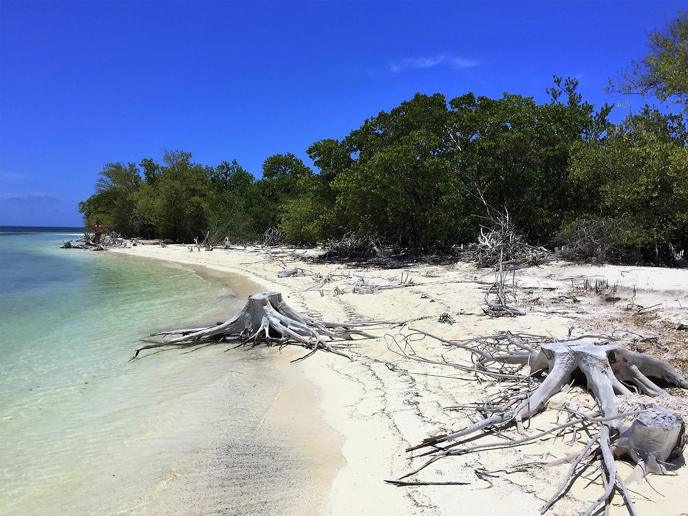 Le rêve à Cayo Blanco ! 