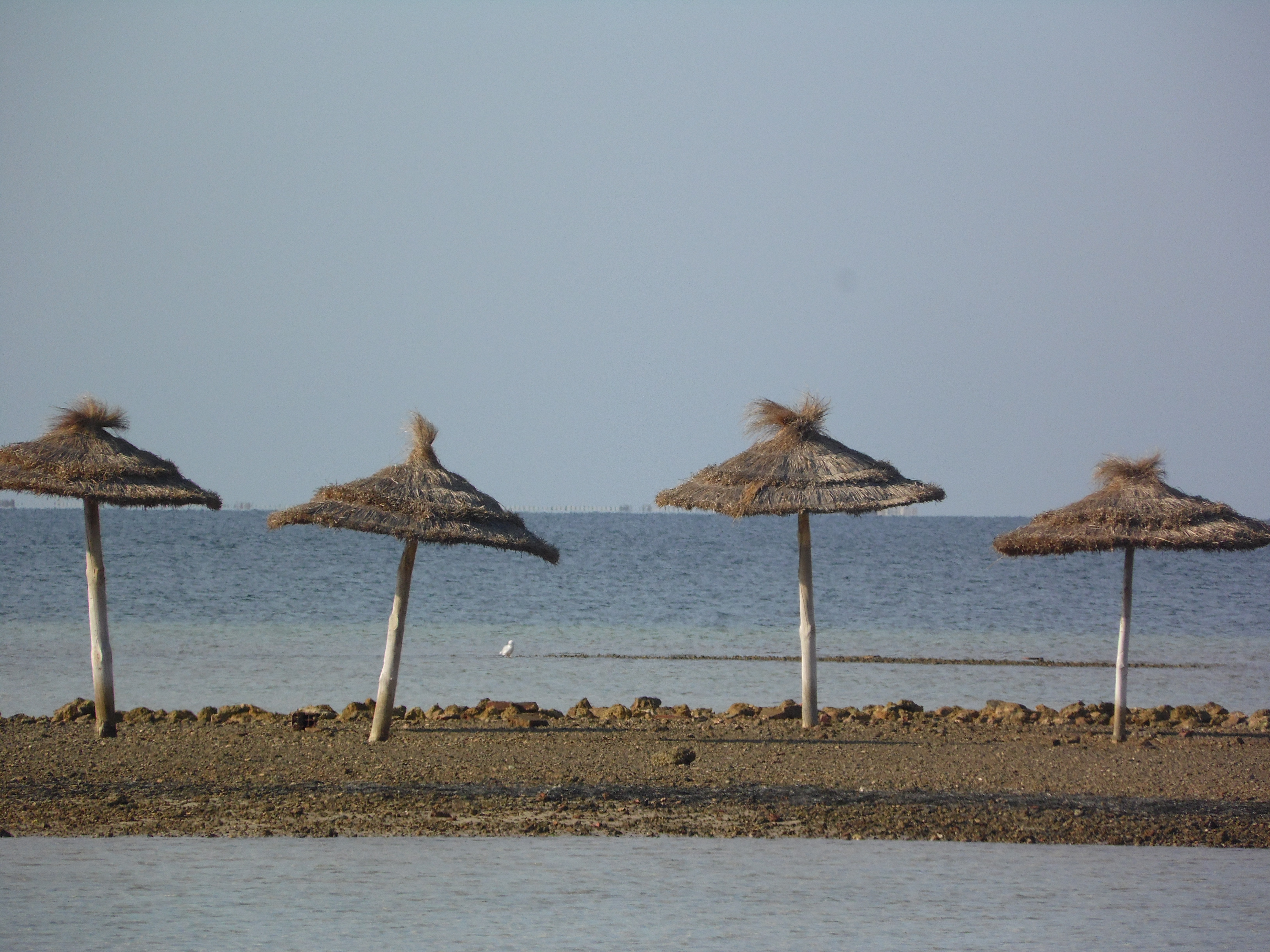 Iles Kerkennah, seul au monde en Tunisie Iles Kerkennah, seul au monde en Tunisie