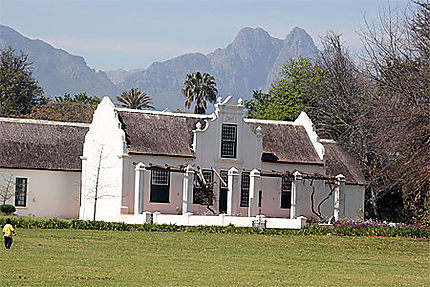Paysage de Stellenbosch