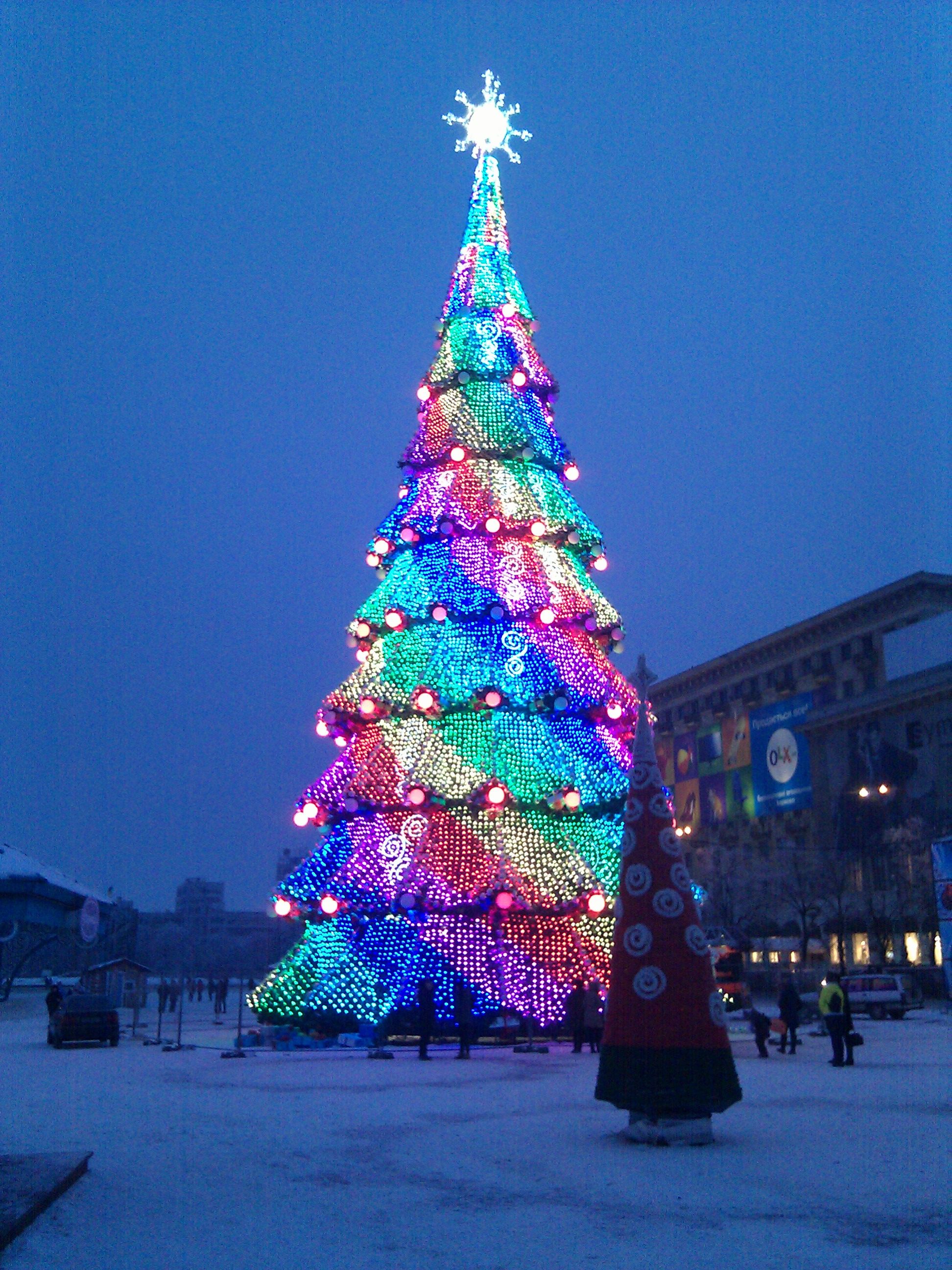 Sapiin de Noël de Kharkov