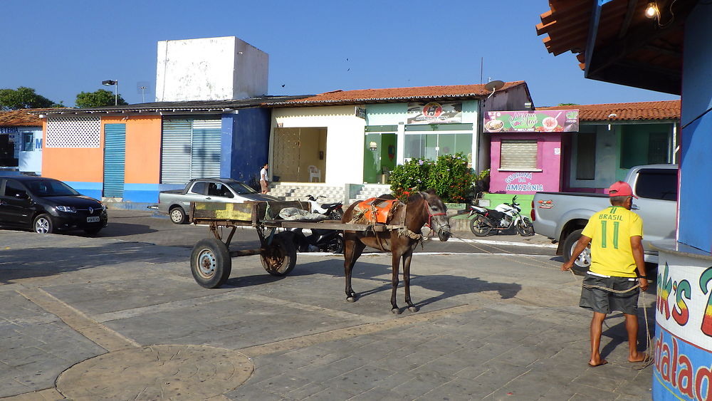 Scène de vie Barreirinhas