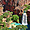 Havasu Falls dans le canyon Havasupai