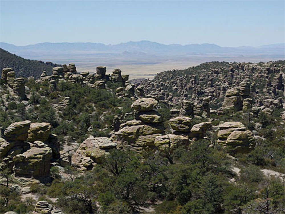Chiricahua