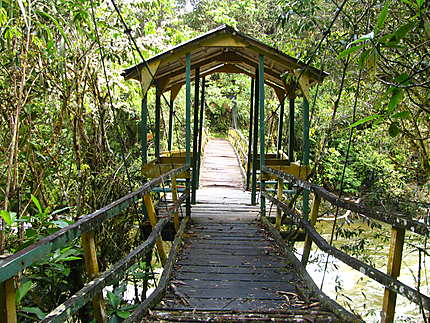 Puente Colagante sur le Bombuscaro