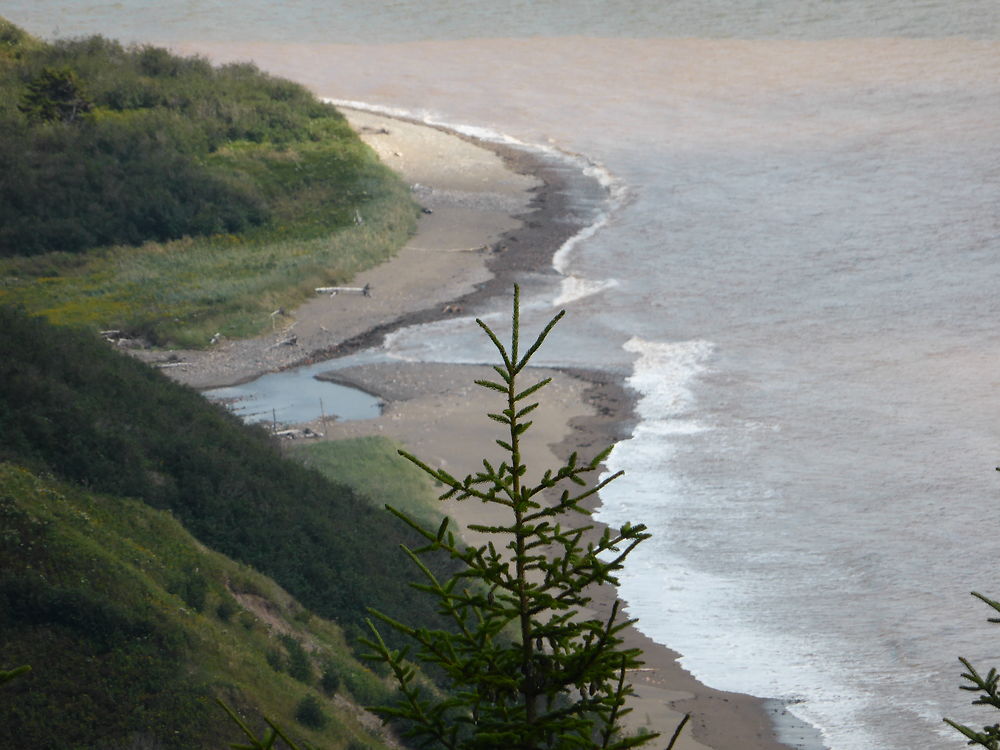 Parc du Fundy