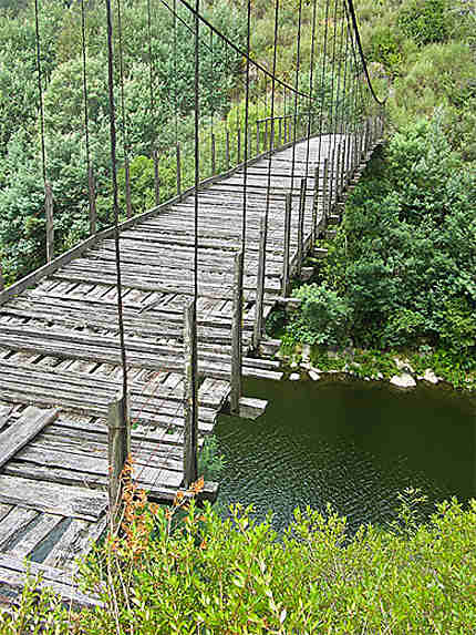 Vieux pont en bois
