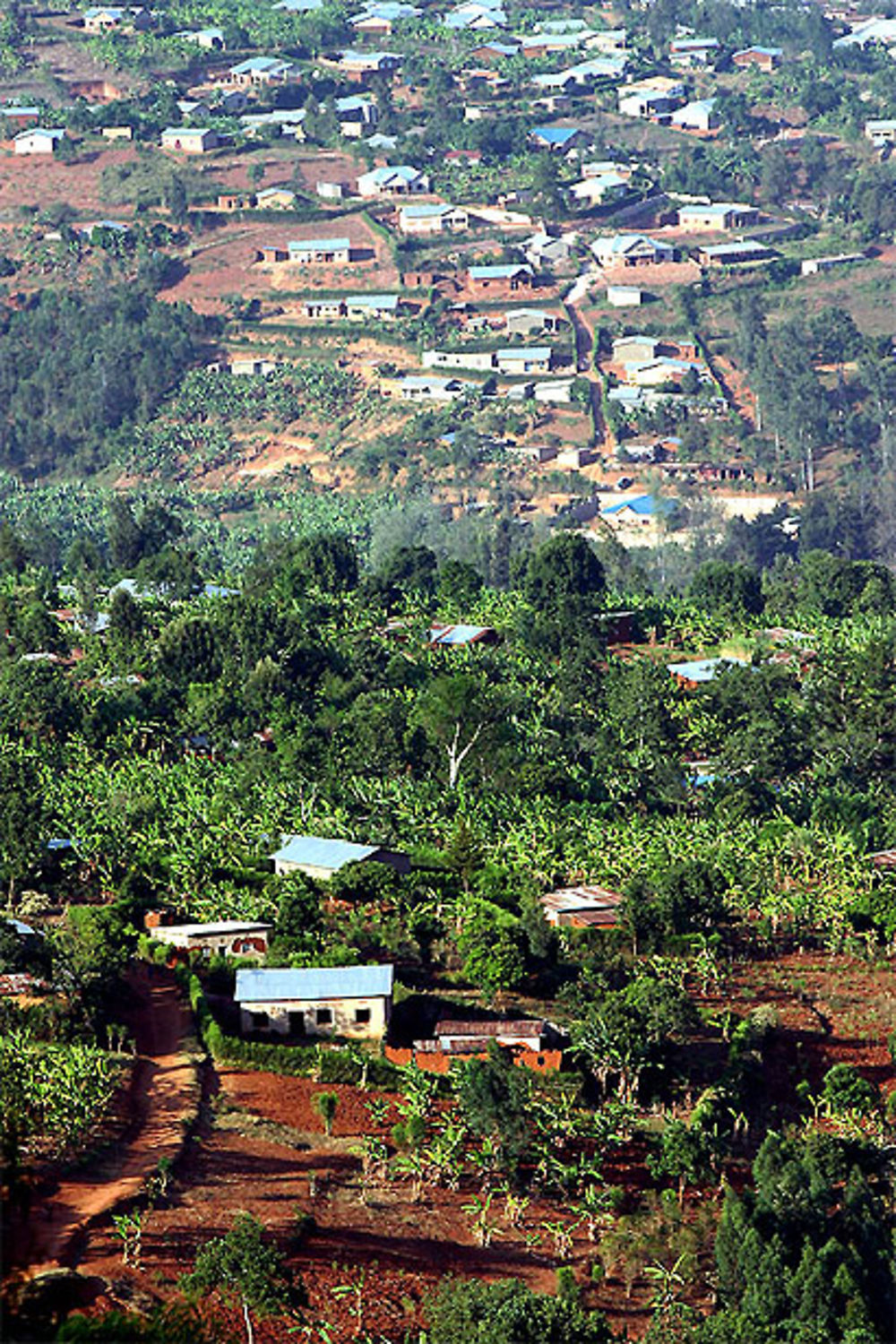 Au pays des mille collines