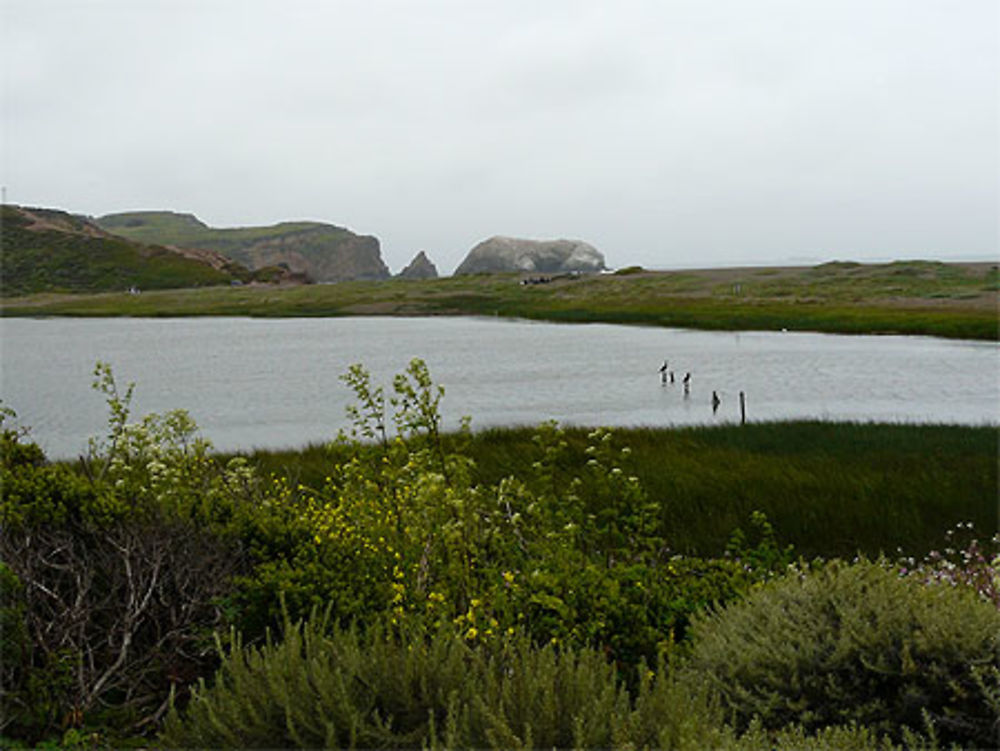 Parc au delà du golden Gate