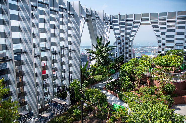 Voir Singapour d’en haut : panoramas pas chers