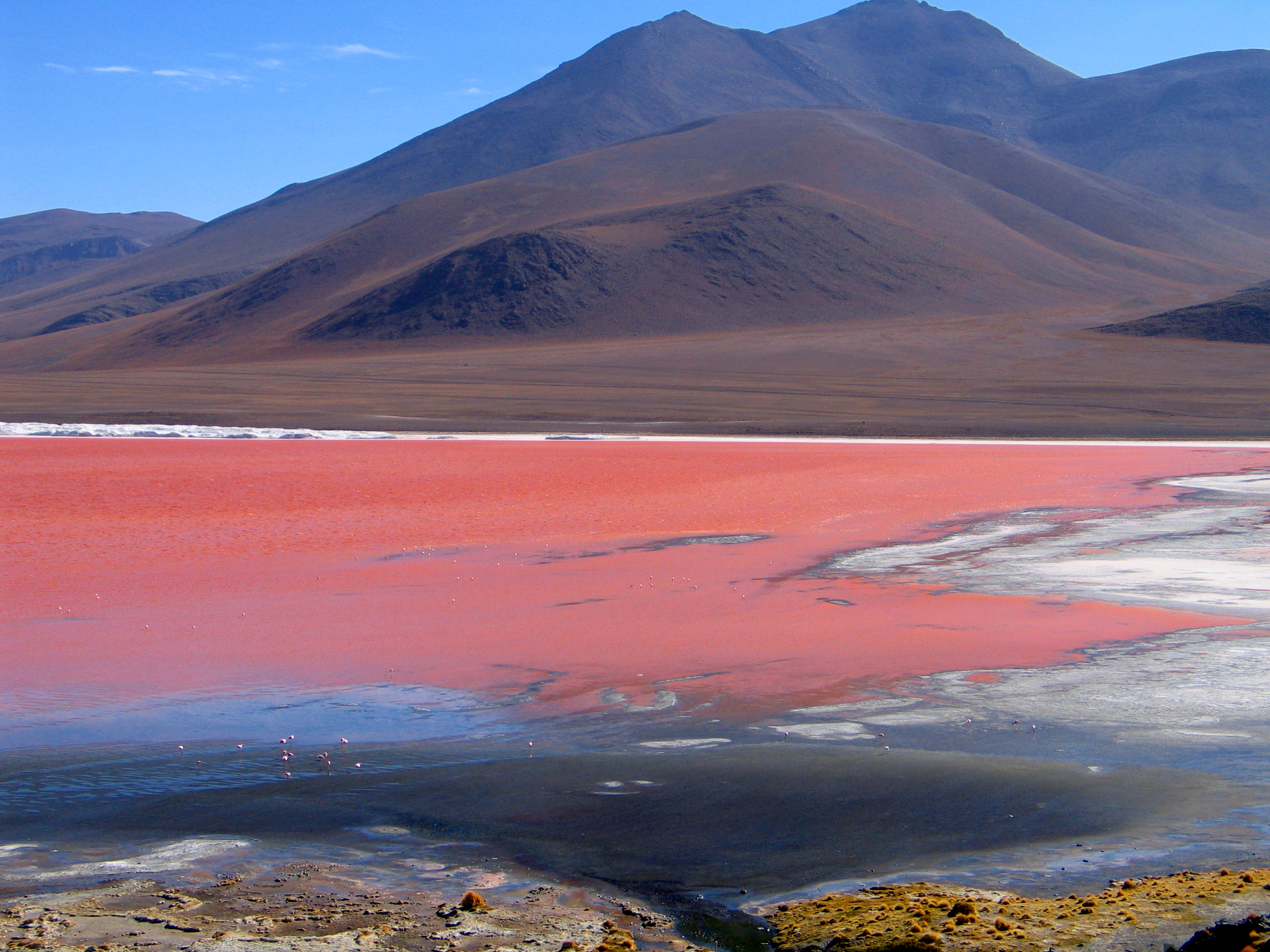 Laguna colorada Laguna colorada