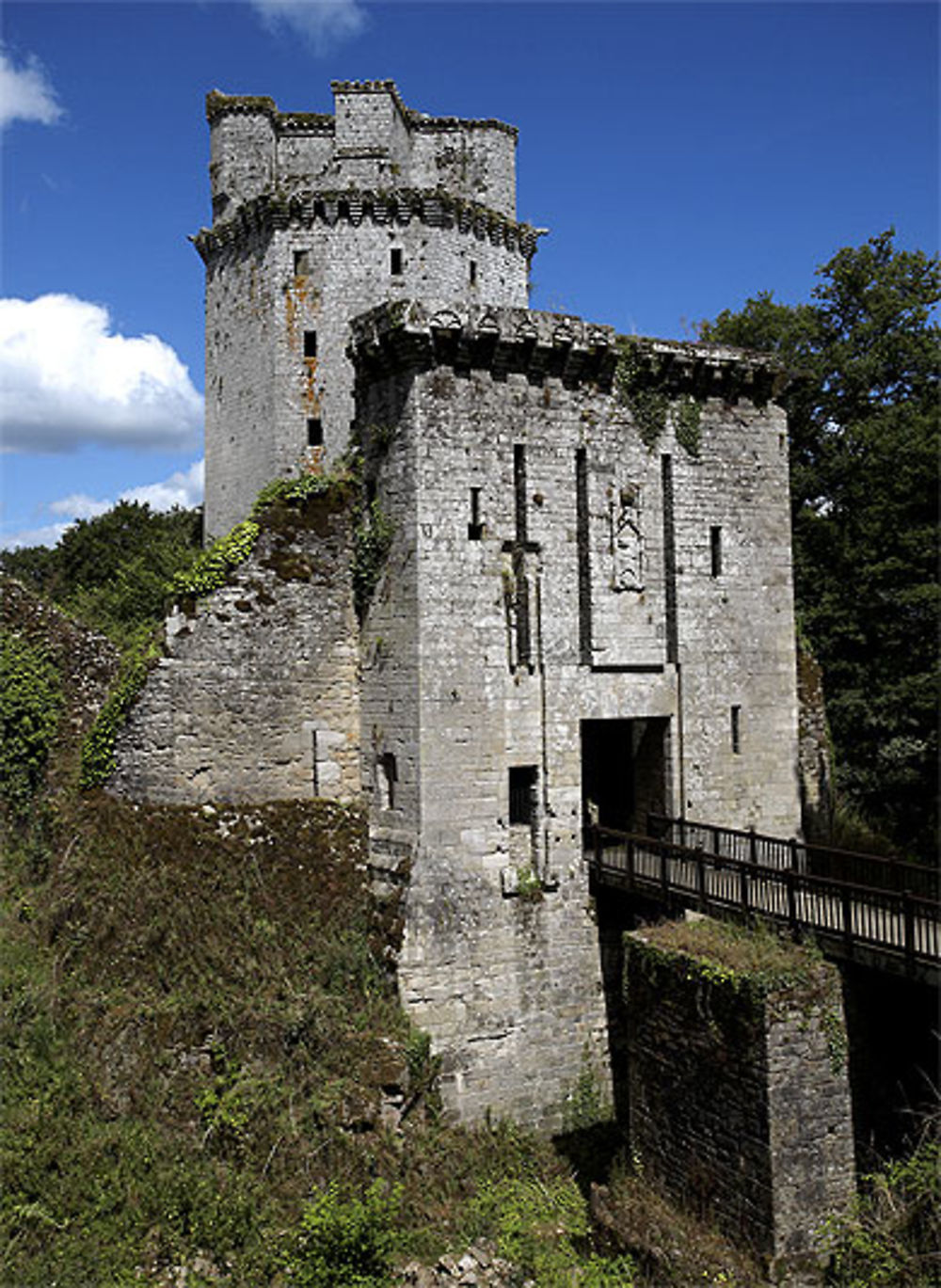 Forteresse de Largoët, Elvin