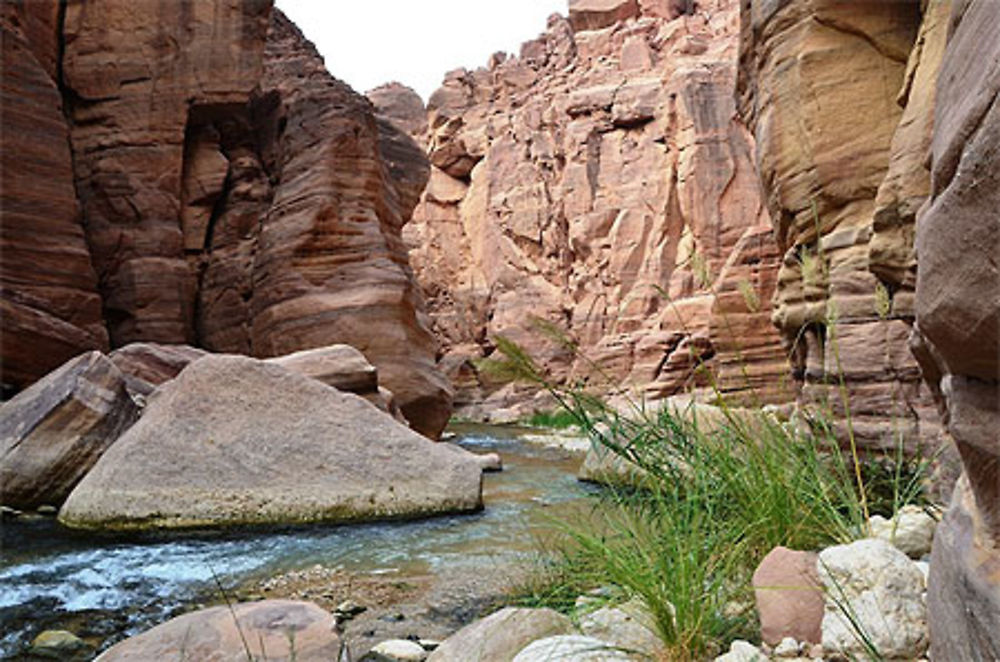 Wadi Hasa, côté Wadi Araba