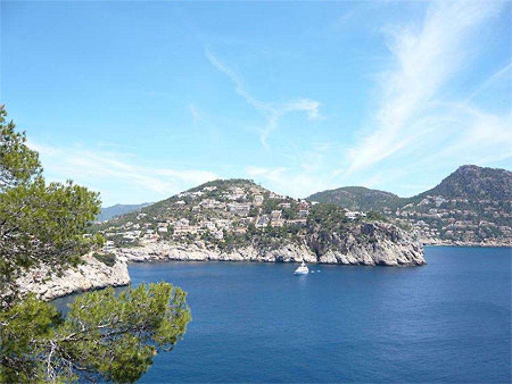 Cap de sa mola