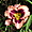 Fleur aux Jardins de Métis à Grand-Métis
