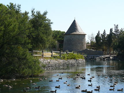 Le Moulin et son plan d'eau