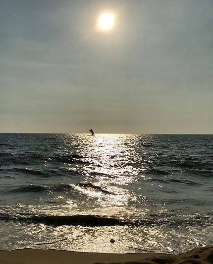 Catamaran au coucher du soleil 