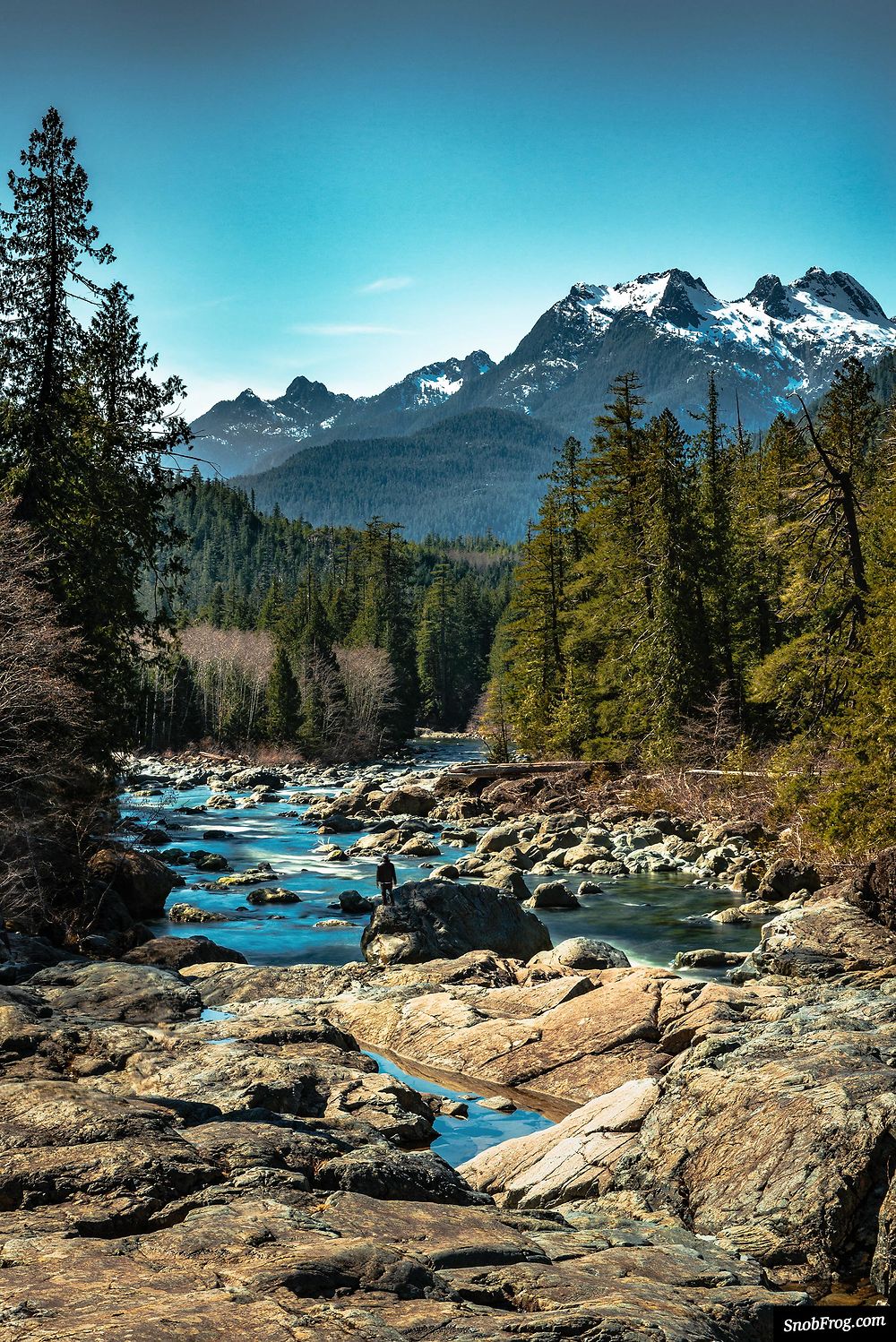 Route 4, sur l'île de Vancouver