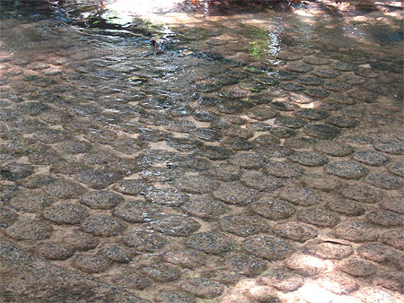 La rivière aux mille lingas La rivière aux mille lingas