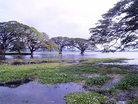 Le lac de Kataragama