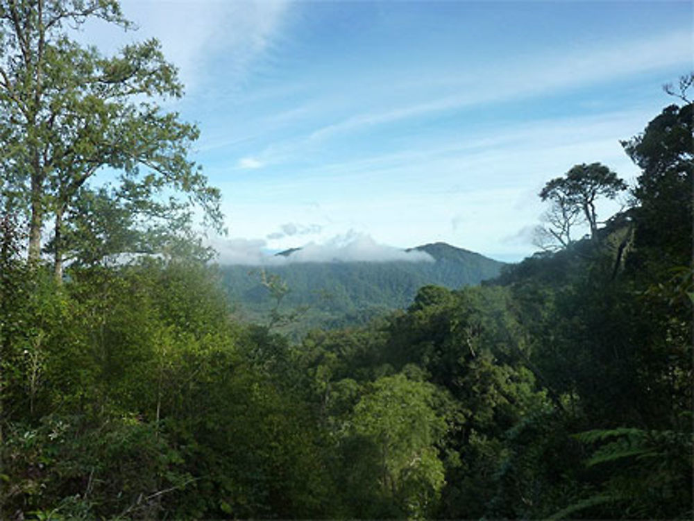 Gunung Sibayak