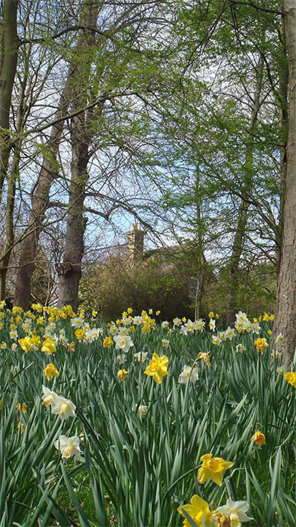 Jardins de Cannizaro