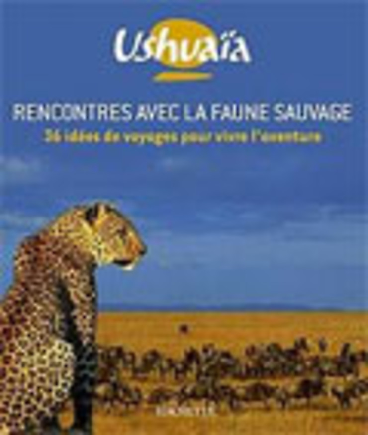 Rencontres avec la faune sauvage