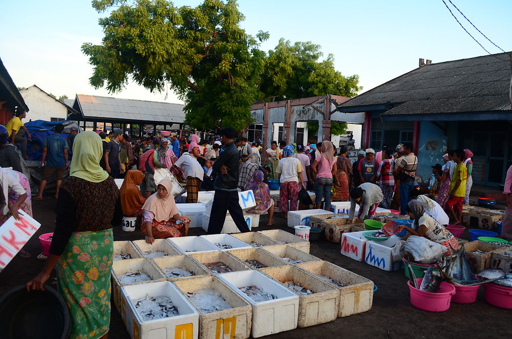 Marché de poisson