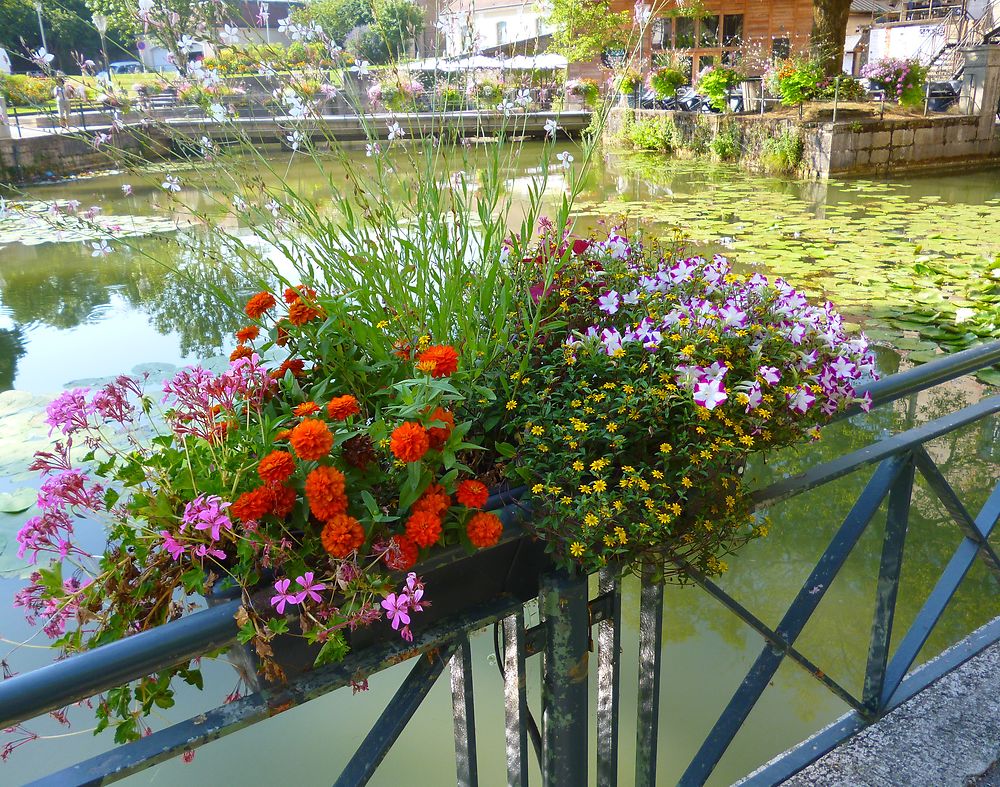 Le canal des Tanneurs, ville de Dole, France