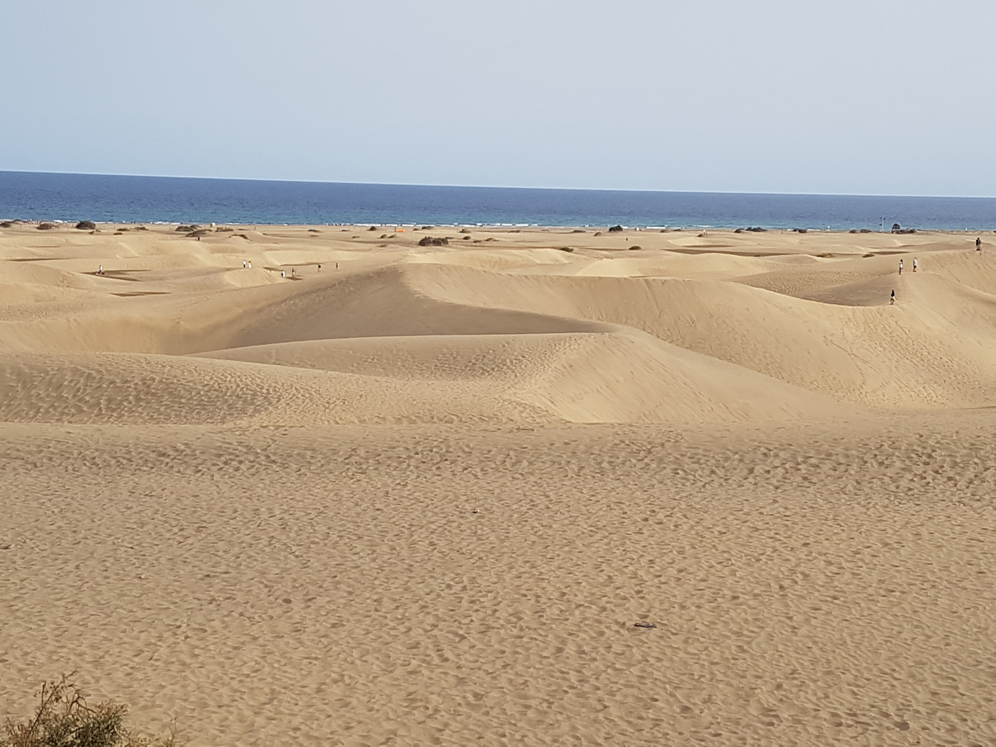 Maspalomas Maspalomas
