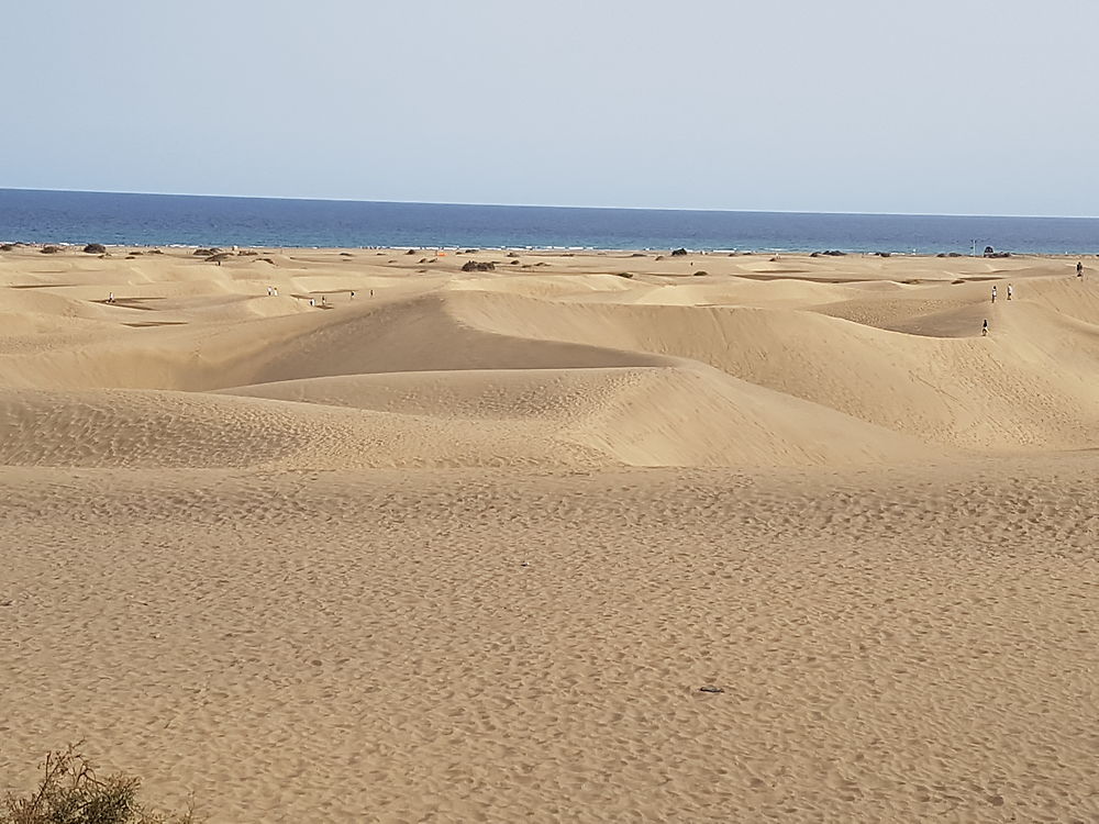 Maspalomas 