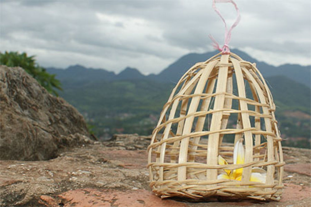 Ouvrez, ouvrez la cage aux oiseaux!